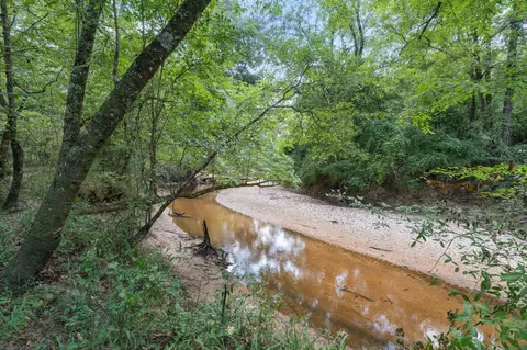 24 Acres Tallahoma Dr, Laurel, MS 39440