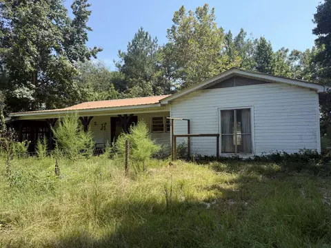 3180 Co Rd 16, Louin, MS 39338