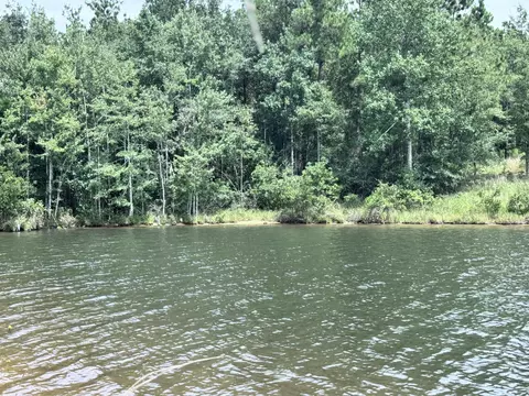 190 Ella Pt, Lumberton, MS 39455