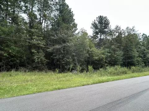 718 Camp Dantzler Rd, Hattiesburg, MS 39401