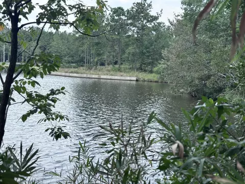200 Ella Pt, Lumberton, MS 39455