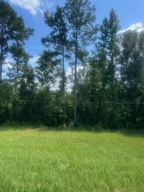 14 83 Ac Hwy 98, Lucedale, MS 39452 photo 2