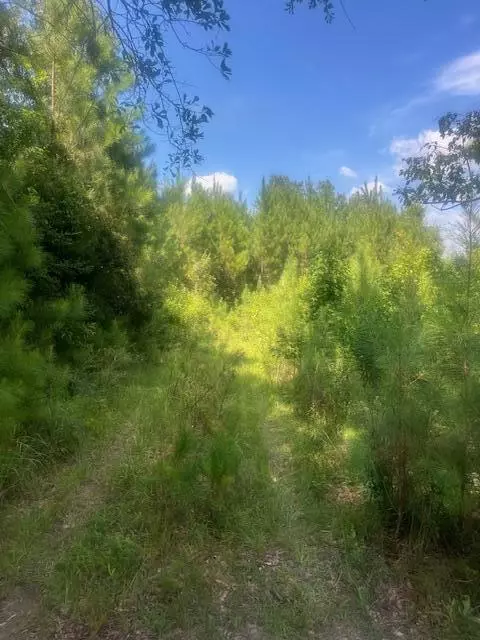 37 42 Ac Hwy 98, Lucedale, MS 39452 photo 2