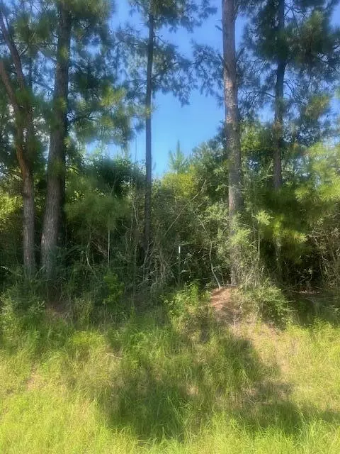 37 42 Ac Hwy 98, Lucedale, MS 39452 photo 3