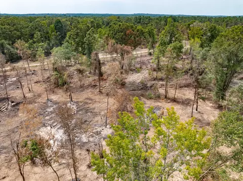 1 0 Mol Ac Old Hwy 24 Parcel 6, Mclain, MS 39456 photo 3