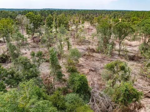 1 04 Mol Ac Old Hwy 24 Parcel 7, Mclain, MS 39456 photo 4