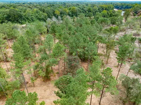 1 14 Mol Ac Old Hwy 24 Parcel 9, Mclain, MS 39456 photo 3