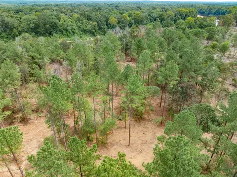 1 0 Mol Ac Old Hwy 24 Parcel 10, Mclain, MS 39456 photo 3