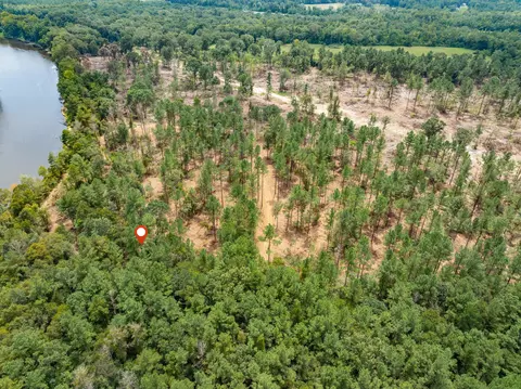 1 02 Mol Ac Old Hwy 24 Parcel 12, Mclain, MS 39456 photo 6