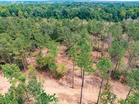 1 02 Mol Ac Old Hwy 24 Parcel 12, Mclain, MS 39456 photo 2