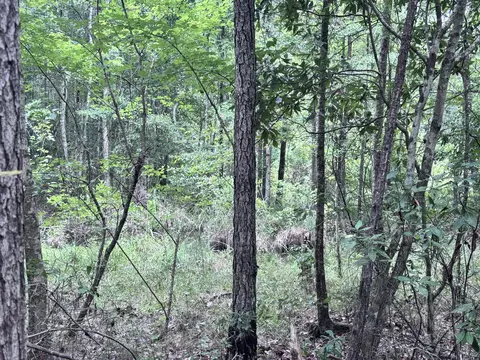 00 Lars Rd, Lumberton, MS 39455