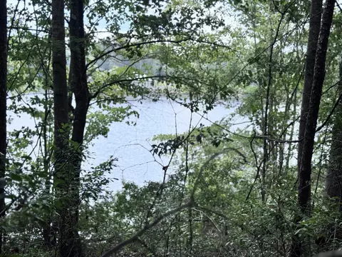 34 Lars Rd, Lumberton, MS 39455