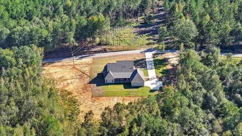 View/Area - 204 A D Mclendon Rd, Mendenhall, MS 39114 photo 17 of 27