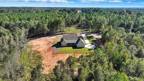 View/Area - 204 A D Mclendon Rd, Mendenhall, MS 39114 photo 23 of 27