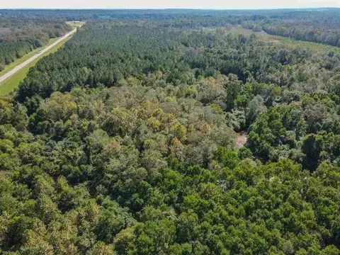 0 Highway 28, Mize, MS 39116 photo 3