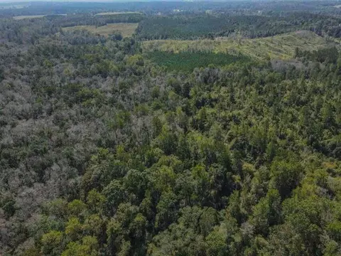 0 Highway 28, Mize, MS 39116 photo 11