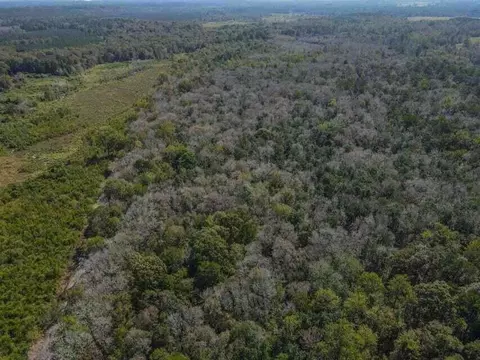 0 Highway 28, Mize, MS 39116 photo 12