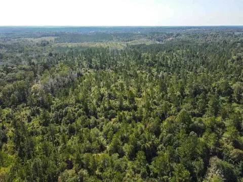 0 Highway 28, Mize, MS 39116 photo 7