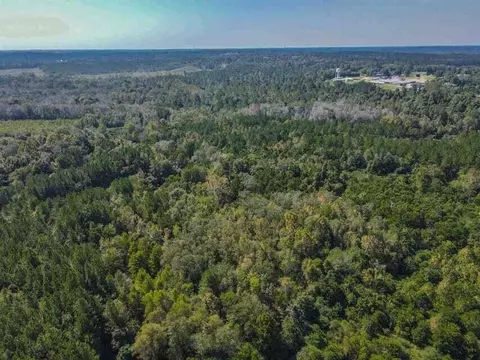 0 Highway 28, Mize, MS 39116 photo 17