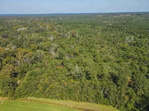 0 Highway 28, Mize, MS 39116 photo 2