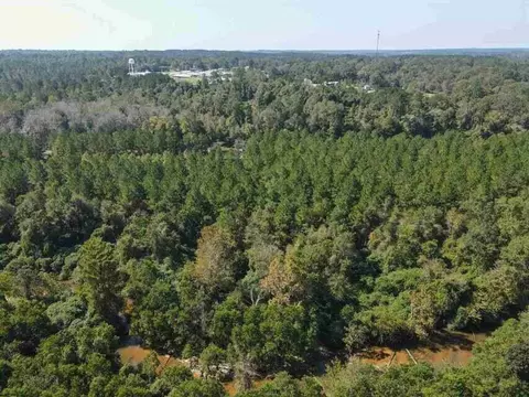 0 Highway 28, Mize, MS 39116 photo 6