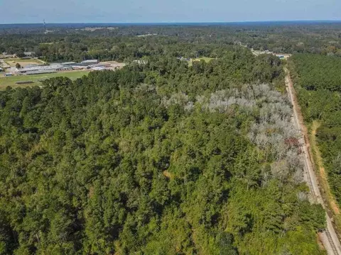 0 Highway 28, Mize, MS 39116 photo 10