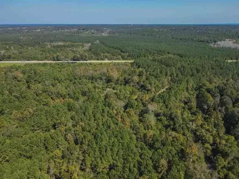 0 Highway 28, Mize, MS 39116 photo 8