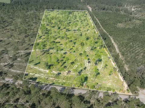 10 8 Acres Crown Zellerback Rd, Lumberton, MS 39455