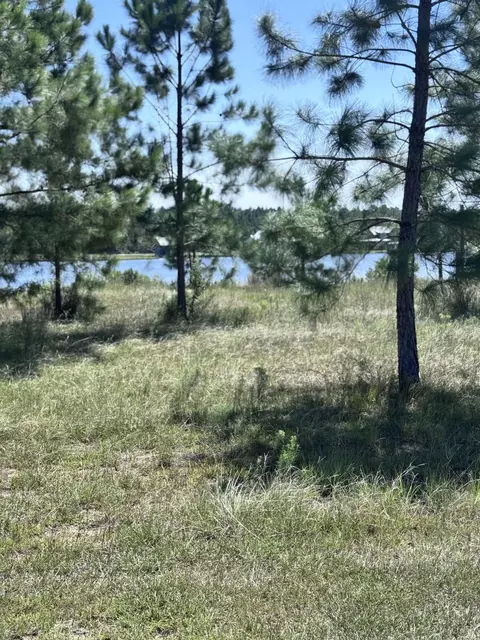 3 Feather Pt, Lumberton, MS 39455 photo 3