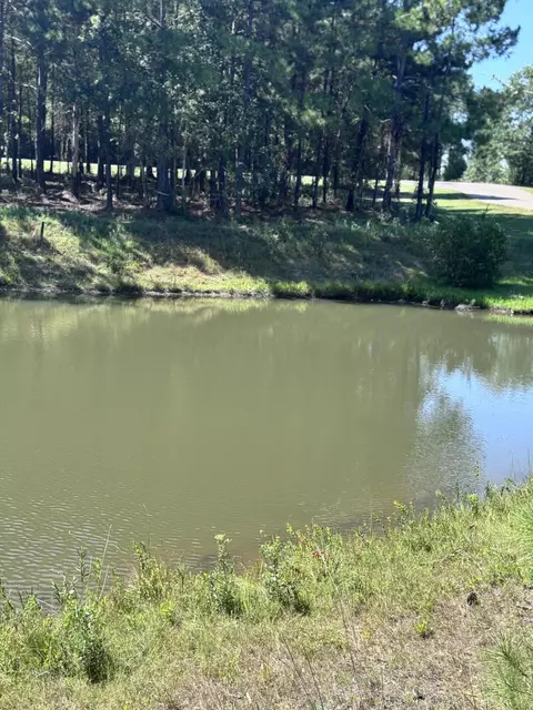 6 Painted Arrow, Lumberton, MS 39455