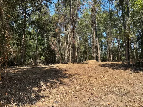 00 Piatonia Rd, Lumberton, MS 39455