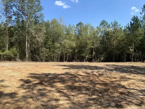 45 Acres Eddie Smith Rd, Hattiesburg, MS 39401