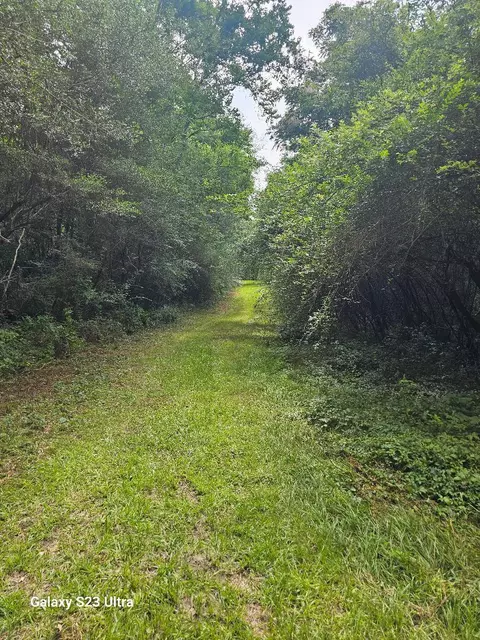 lot150 Glendale, Lumberton, MS 39455