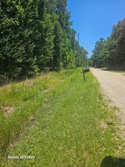 lot170 Bisbee, Lumberton, MS 39455