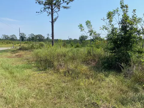 0000 A J Bond Rd, Sumrall, MS 39482