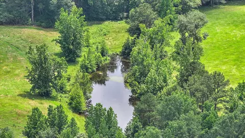 0 Hosey Rd, Magee, MS 39111 photo 10
