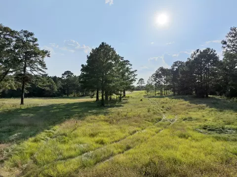 653 Leeville Rd, Petal, MS 39465 photo 3