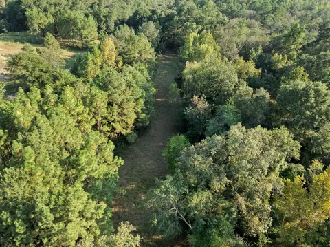 653 Leeville Rd, Petal, MS 39465 photo 7