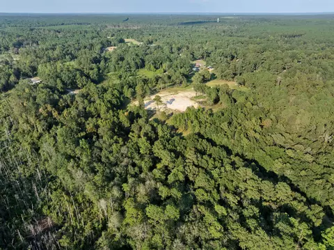 653 Leeville Rd, Petal, MS 39465 photo 13