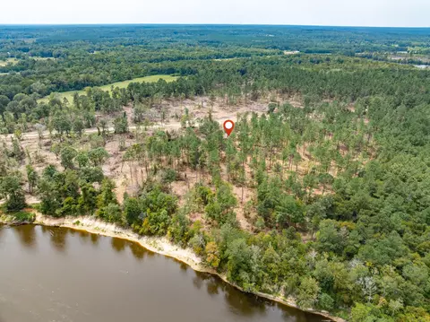 1 0 Mol Ac Old Hwy 24 Parcel 17, Mclain, MS 39456 photo 6