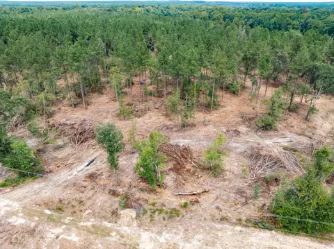1 0 Mol Ac Old Hwy 24 Parcel 17, Mclain, MS 39456 photo 2
