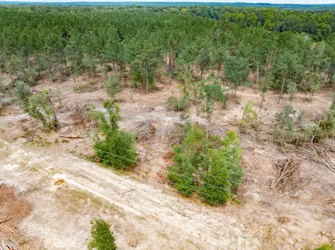 1 0 Mol Ac Old Hwy 24 Parcel 18, Mclain, MS 39456 photo 3