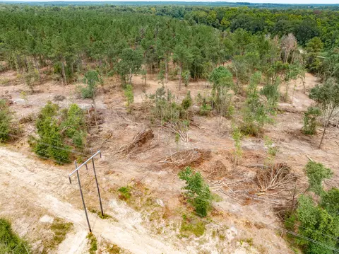 1 0 Mol Ac Old Hwy 24 Parcel 19, Mclain, MS 39456 photo 2