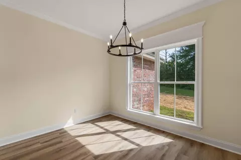 250 Higgins Rd, Sumrall, MS 39482 photo 19
