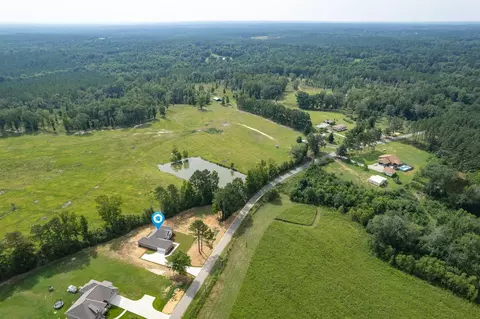 250 Higgins Rd, Sumrall, MS 39482 photo 47