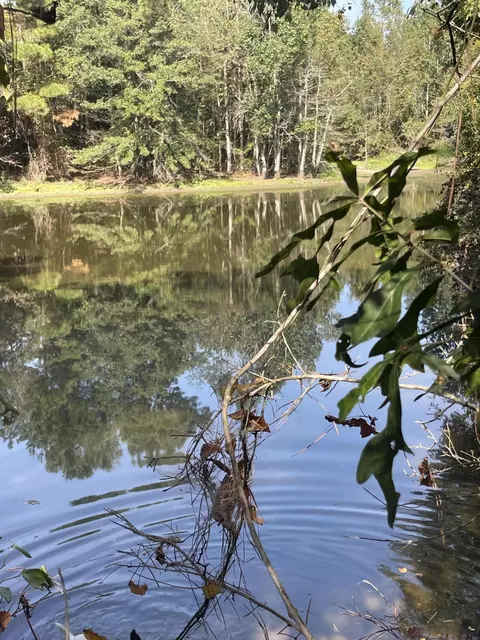 37 Ac 50 Dolphus Rainey Rd, Seminary, MS 39479