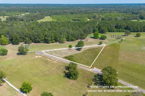 0 Club Dr, Collins, MS 39428