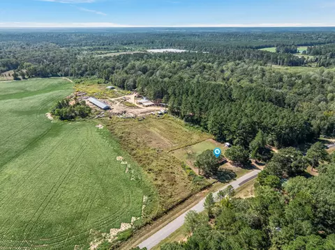 View/Area - 826 Three Notch Rd, Collins, MS 39428 photo 2 of 4