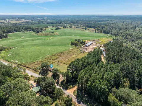 View/Area - 826 Three Notch Rd, Collins, MS 39428 photo 4 of 4
