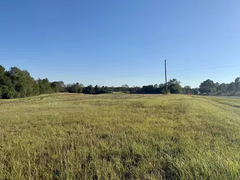 - Dexter Rd, Tylertown, MS 39667